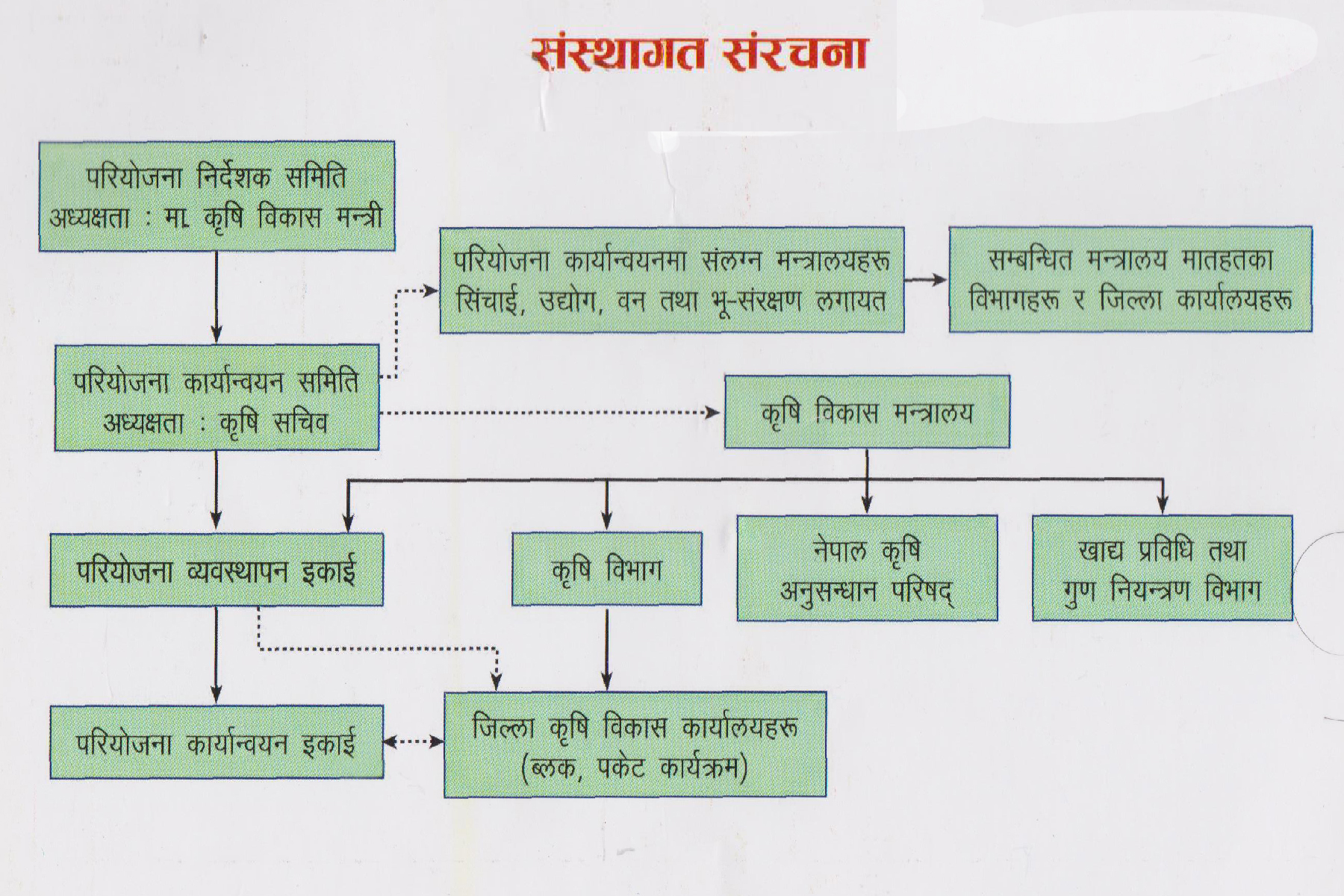 संगठनात्मक ढाँचा